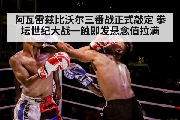 boxer training gloves