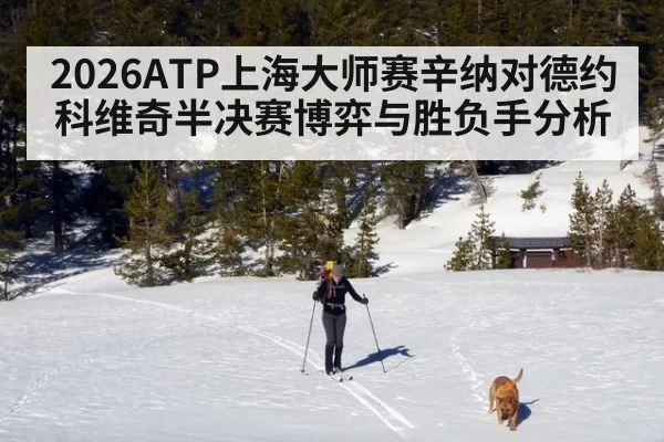 2026ATP上海大师赛辛纳对德约科维奇半决赛博弈与胜负手分析